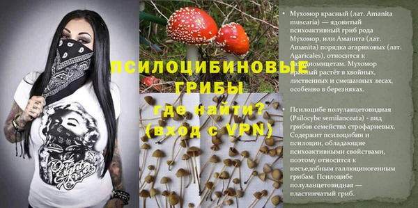 не бодяженный Верея