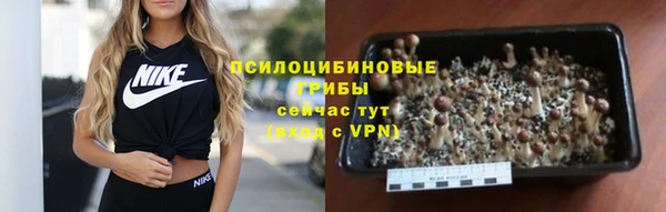 не бодяженный Верея