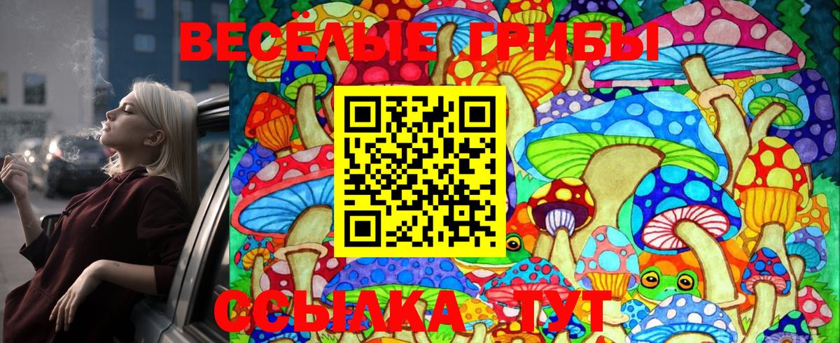 Псилоцибиновые грибы MAGIC MUSHROOMS Мончегорск